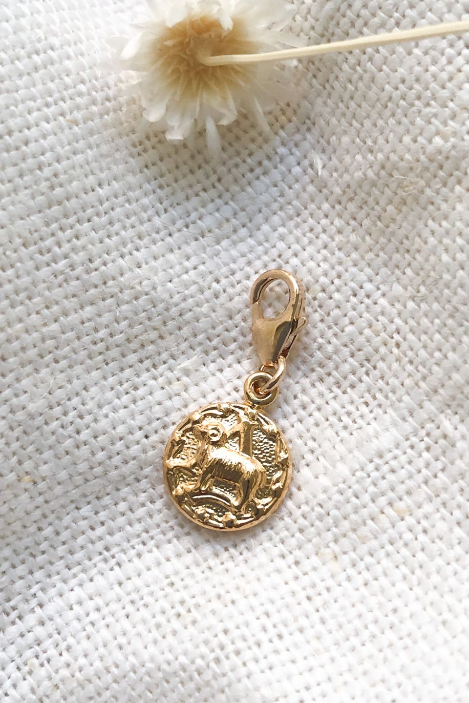 Charm Bélier