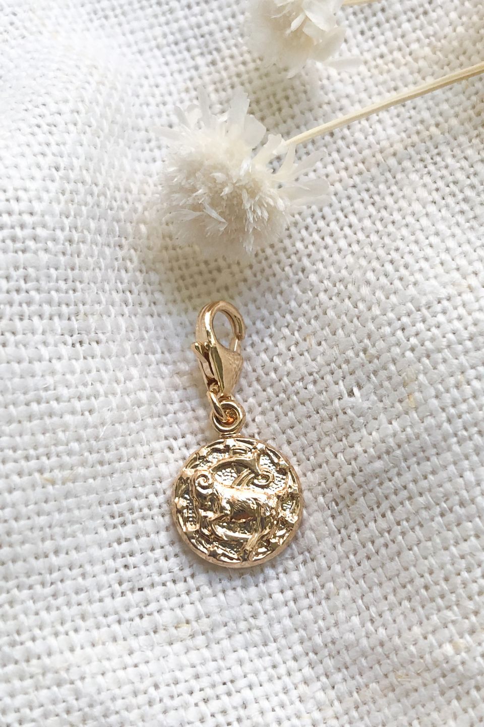 Charm Capricorne