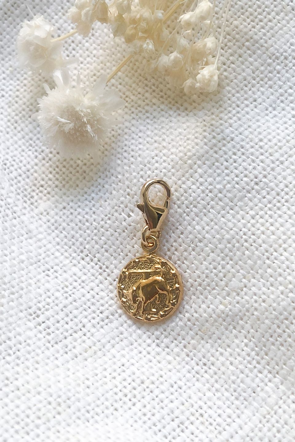 Charm Taureau