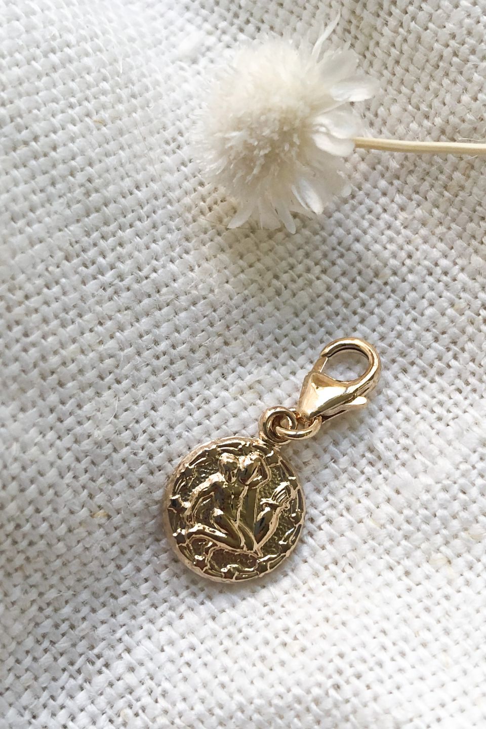 Charm Verseau